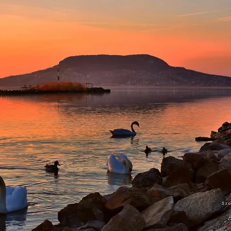 Codini Haz Lejlighed