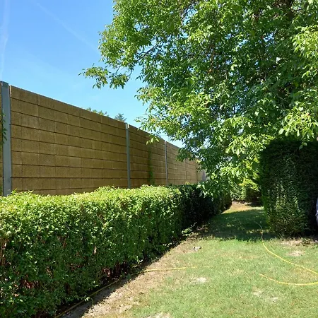 Codini Haz Фоньод