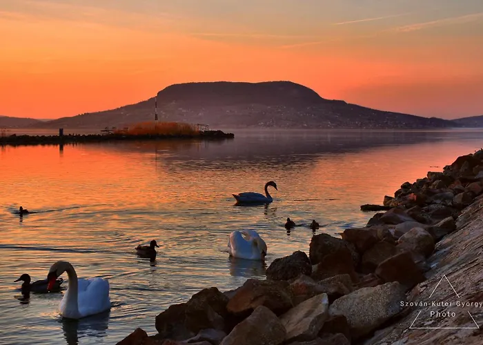 Codini Haz アパート